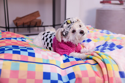 Bring brightness to wintertime with new bold, vibrant apparel, accessories, toys, beds and more inspired by the 1950s Pop Art movement.