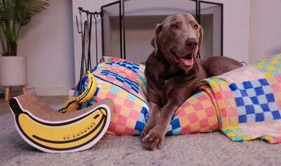 Unique, exclusive and affordable Pop Art finds such as a matching oversized checkered dog bed and throw, “go bananas” cat scratcher toy and matching cat teaser attachment will have pets playing in style.