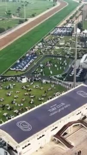 Abu Dhabi Turf Club hosted the 33rd UAE President Cup for Arabian Purebred Horses