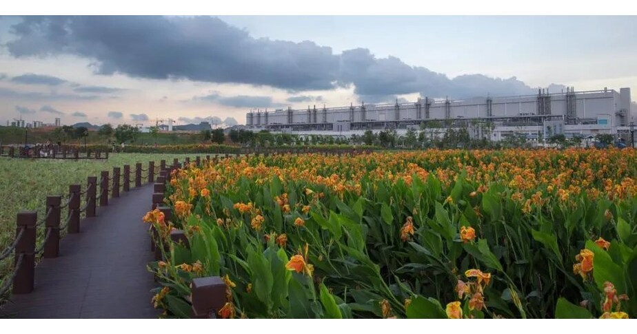 Image of TCL CSOT's artificial wetland park used for water treatment.