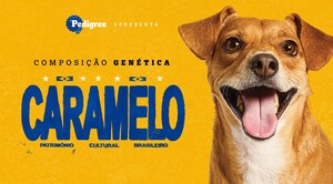 Pesquisa inédita revela o "DNA do Caramelo" e identifica as raças e características mais comuns do cão mais querido do Brasil