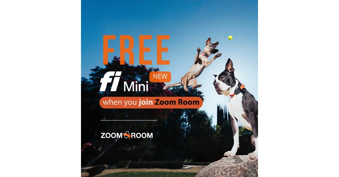 Zoom Room Dog Training Partners with Fi to Bring Dog Fitness Tracking Nationwide