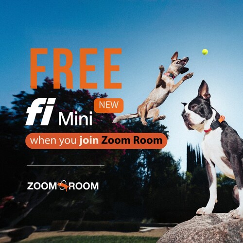 Zoom Room Dog Training announced a new partnership with Fi to bring real-time activity tracking into its training programs.