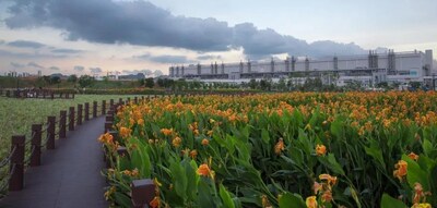 TCL CSOT Artificial Wetland Park (PRNewsfoto/TCL)