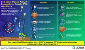 Chonnam National University Scientists Discover a Molecular Switch That Protects Crops from Freezing Cold