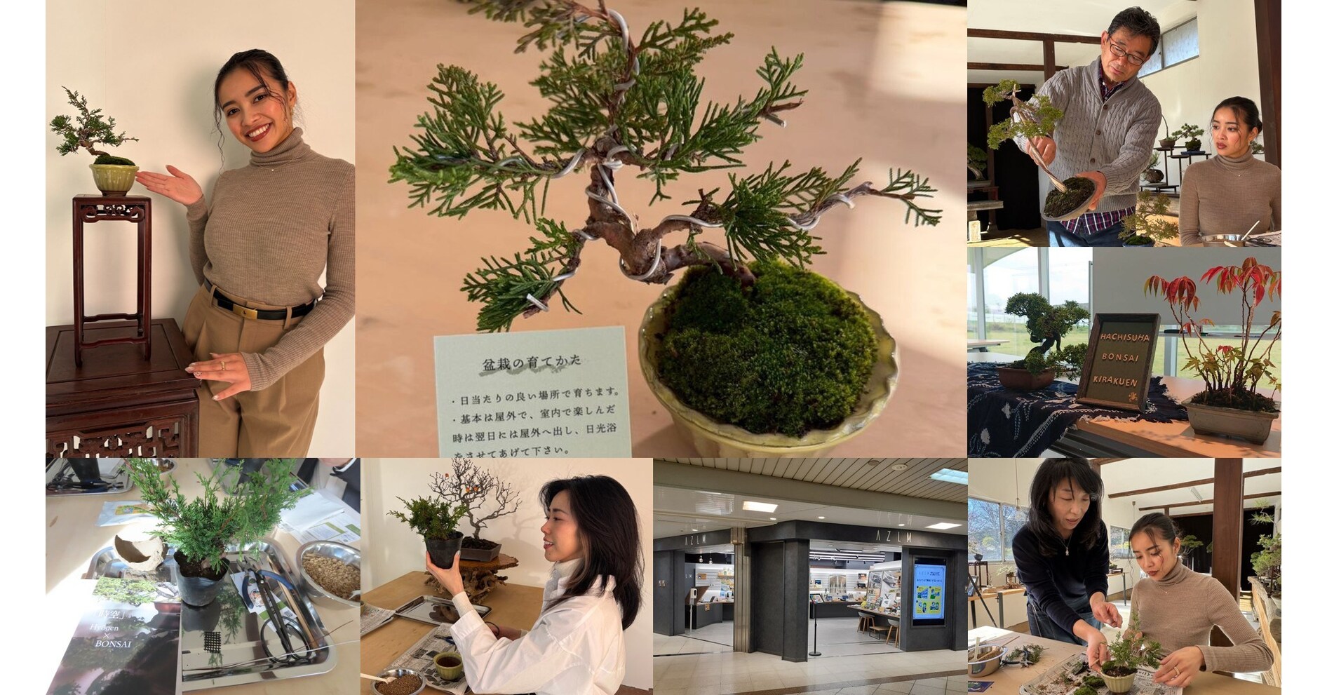 Living Japanese Art Near Tokyo: Hands-On Bonsai Workshop Brings Kawaguchis 400-Year Craft to Ikebukuro Station