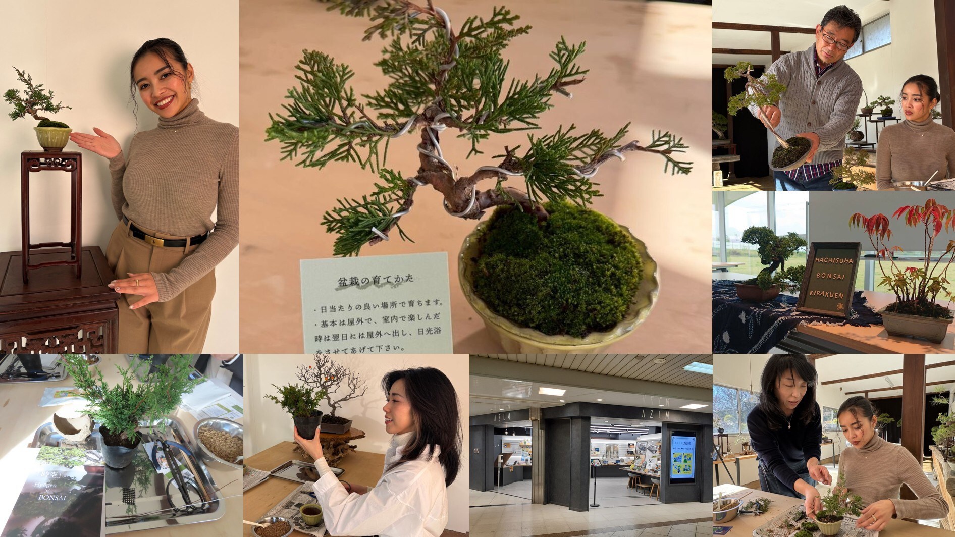Living Japanese Art Near Tokyo: Hands-On Bonsai Workshop Brings Kawaguchi's 400-Year Craft to Ikebukuro Station