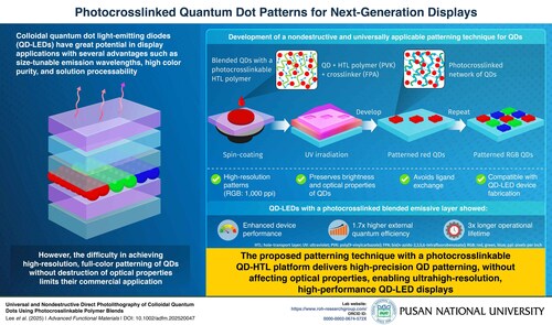 Researchers develop a nondestructive, universal QD patterning method that blends QDs with a photocrosslinkable hole-transport layer polymer for next-generation display technologies.