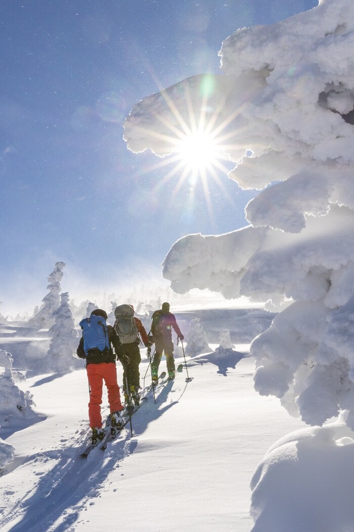 La réserve faunique de Matane renouvelle un partenariat pour favoriser l'accès à son territoire à travers une expérience hivernale unique, encadrée par des professionnels et respectueuse de la sécurité des adeptes et du milieu nature (Groupe CNW/Société des établissements de plein air du Québec)