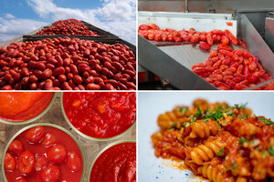 Vier deze feestdagen met biologische conserventomaten uit Europa.