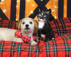 HELPFUL HOLIDAY HINTS AND NEW YEAR GOALS TO ENRICH THE LIVES AND WELL-BEING OF FAMILIES &amp; THEIR BELOVED PETS