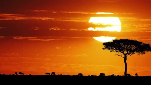 CCTV+: A Research Partnership Across Continents -- Mulch Film and Agricultural Exchange