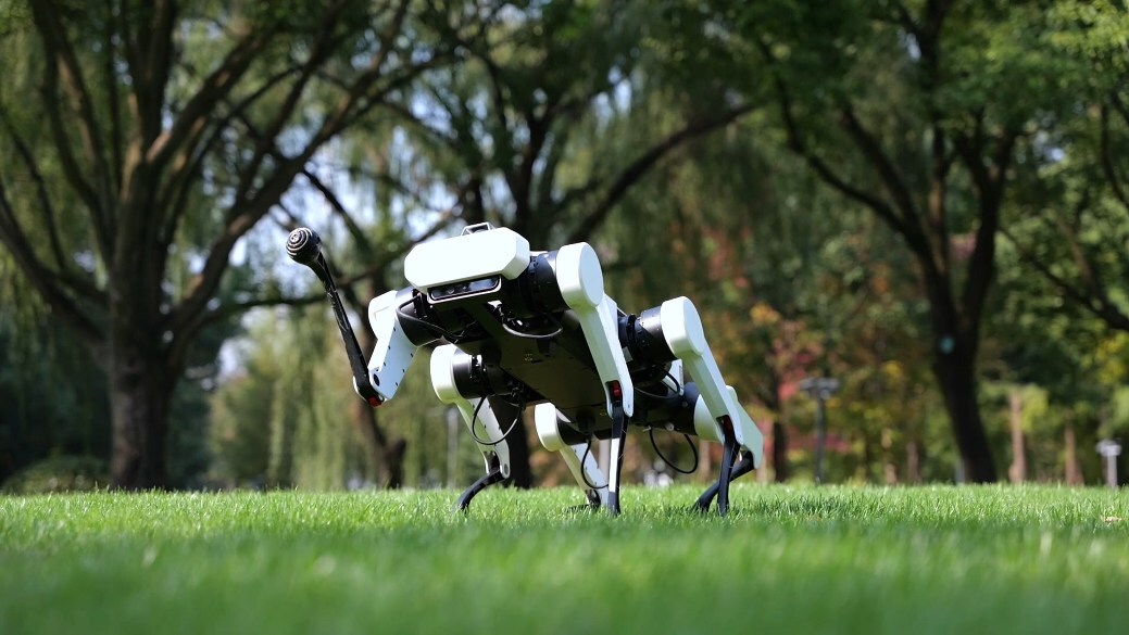 Unable to view the image, Please provide a valid URL.