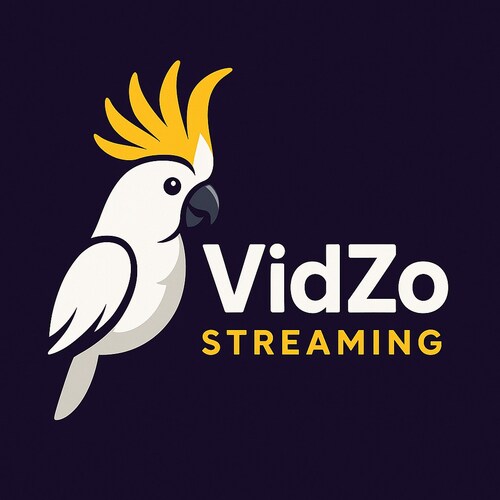 VidZo Streaming