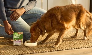 Wellness Pet Company Introduces Wellness® Protein Bowls to Elevate Mealtime