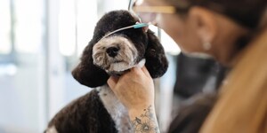 Sparkle Grooming Co. Expands Colorado Presence with Boulder Opening