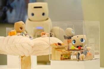 Fourier GR-3 and the doll-size companion robot prototype