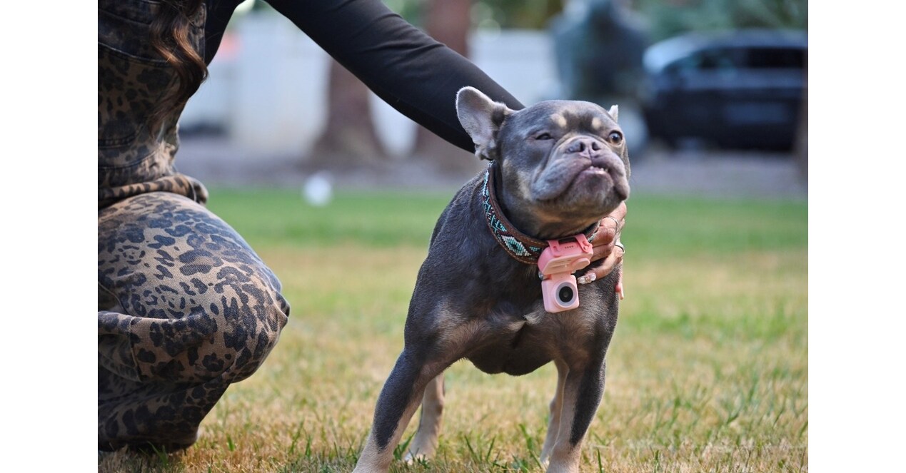 uCloudlink Bridges the Pet People Divide at CES 2026: Debuts PetPogo Ecosystem Featuring PetPhone and PetCam uCloudlink Bridges the Pet People Divide at CES 2026: Debuts PetPogo Ecosystem Featuring PetPhone and PetCam