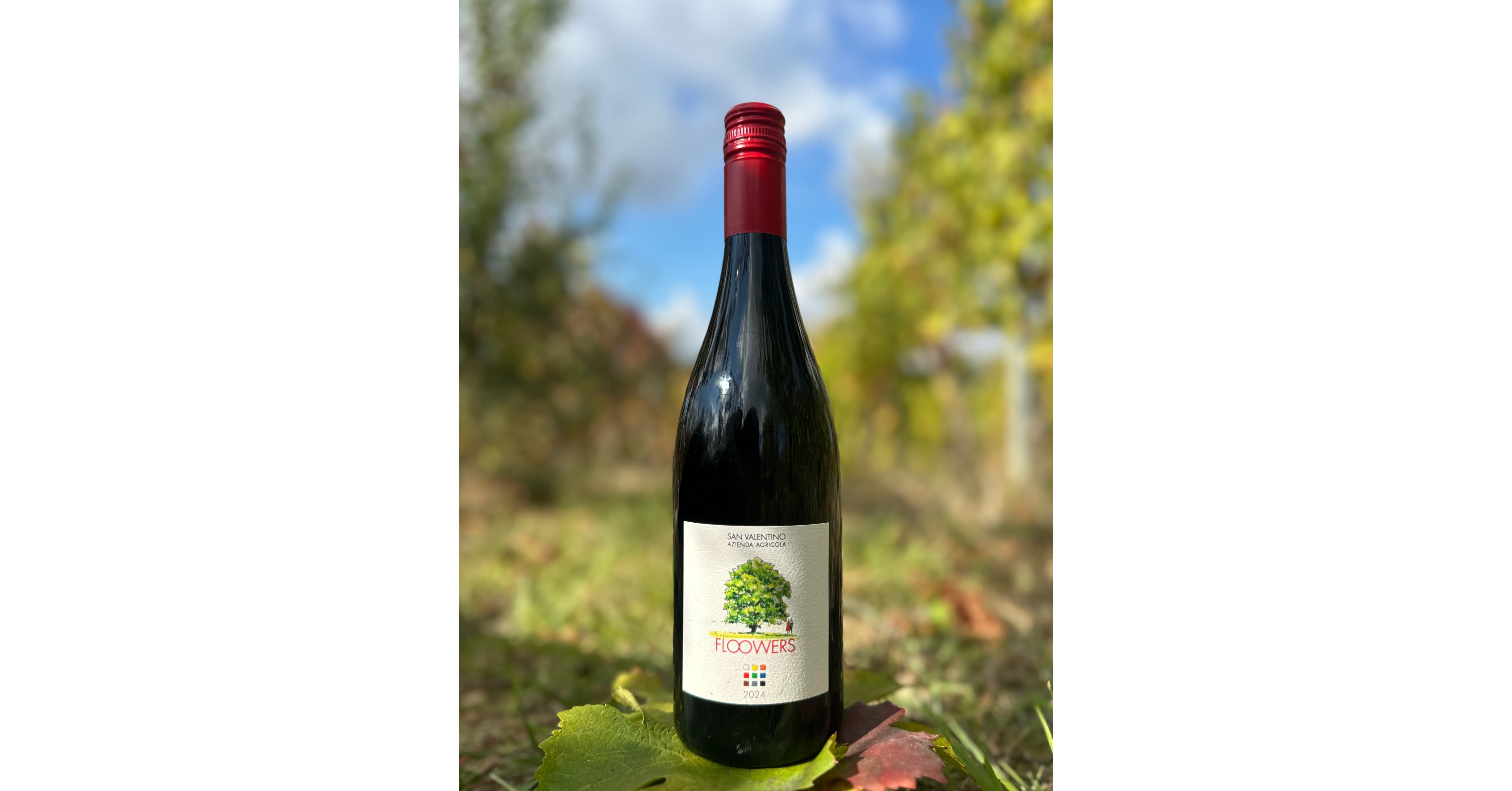 ROMAGNAS SAN VALENTINO WINERY BRINGS ITALYS FIRST NO-SULFITES-ADDED SANGIOVESE TO THE U.S.