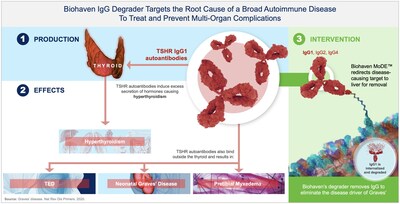 Biohaven IgG Degrader Targets the Root Cause of a Broad Autoimmune Disease To Treat and Prevent Multi-Organ Complications