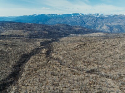 Le programme Impact Forêts Manuvie en Colombie-Britannique, où de nouveaux arbres sont plantés pour restaurer des zones rasées par le feu. Le bassin versant de Nicola a subi d’importants dégâts causés par les feux de forêt, qui ont touché plus de 25 000 hectares. (Groupe CNW/Société Financière Manuvie)