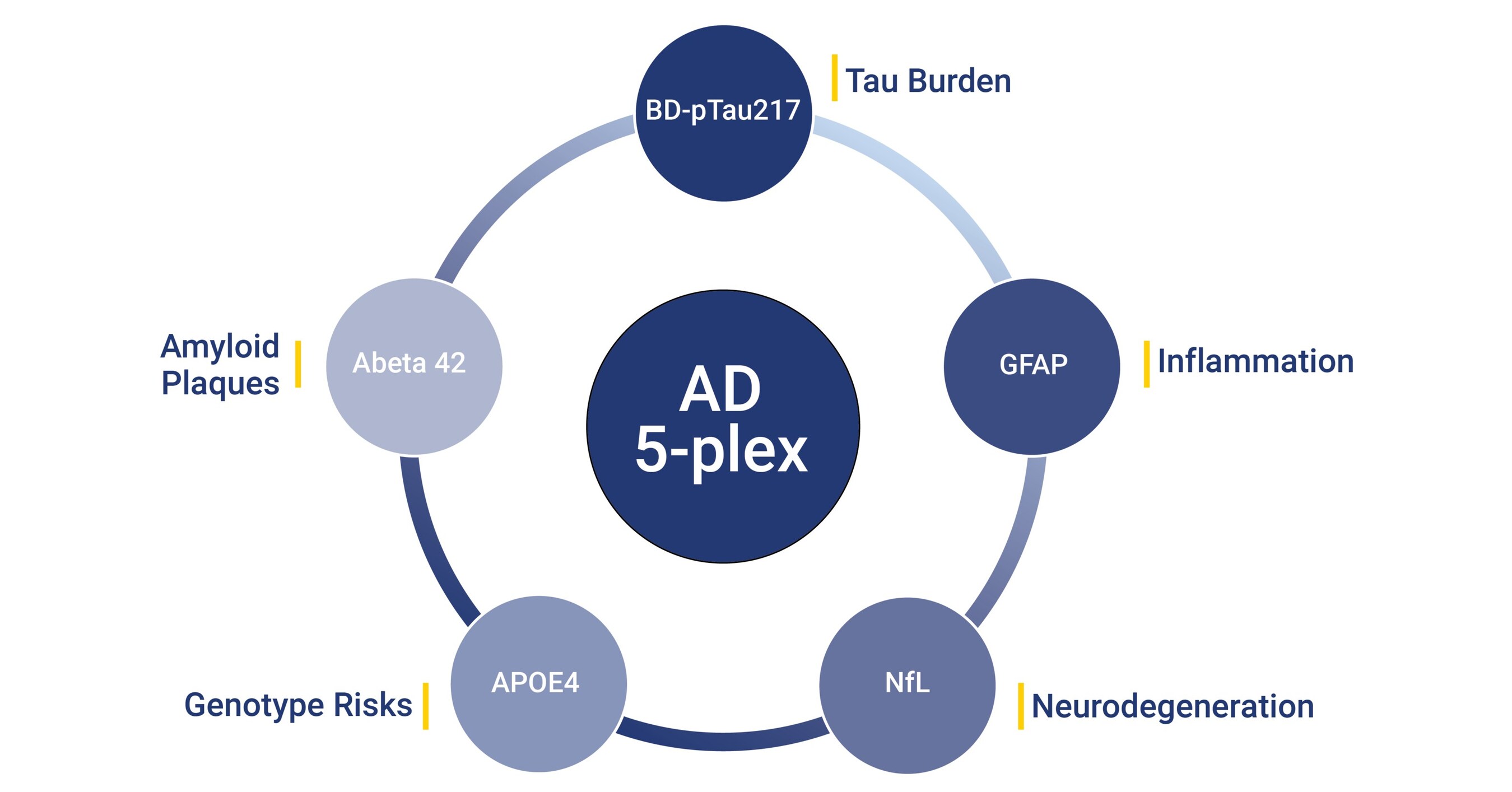 Alamar Biosciences gibt die Einführung des NULISAqpcr™ AD 5-plex-Assays bekannt, der die Erkennung von Biomarkern im Blut in der Alzheimer-Forschung vorantreibt