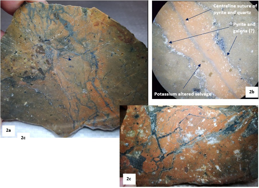 Figure 2a. Quartz-pyrite stockwork veining associated with strong potassium alteration of rhyolite and, Figure 2b, B-type vein (?) with pyrite along centreline, strong potassic altered margins and minor galena or molybdenite. Figure 2c. Crackled brecciated rhyolite with sphalerite-filled fractures (zinc sulphide) and pyrite veins. (CNW Group/Northern Shield Resources Inc.) Figure 2a. Quartz-pyrite stockwork veining associated with strong potassium alteration of rhyolite and, Figure 2b, B-type vein (?) with pyrite along centreline, strong potassic altered margins and minor galena or molybdenite. Figure 2c. Crackled brecciated rhyolite with sphalerite-filled fractures (zinc sulphide) and pyrite veins. (CNW Group/Northern Shield Resources Inc.)