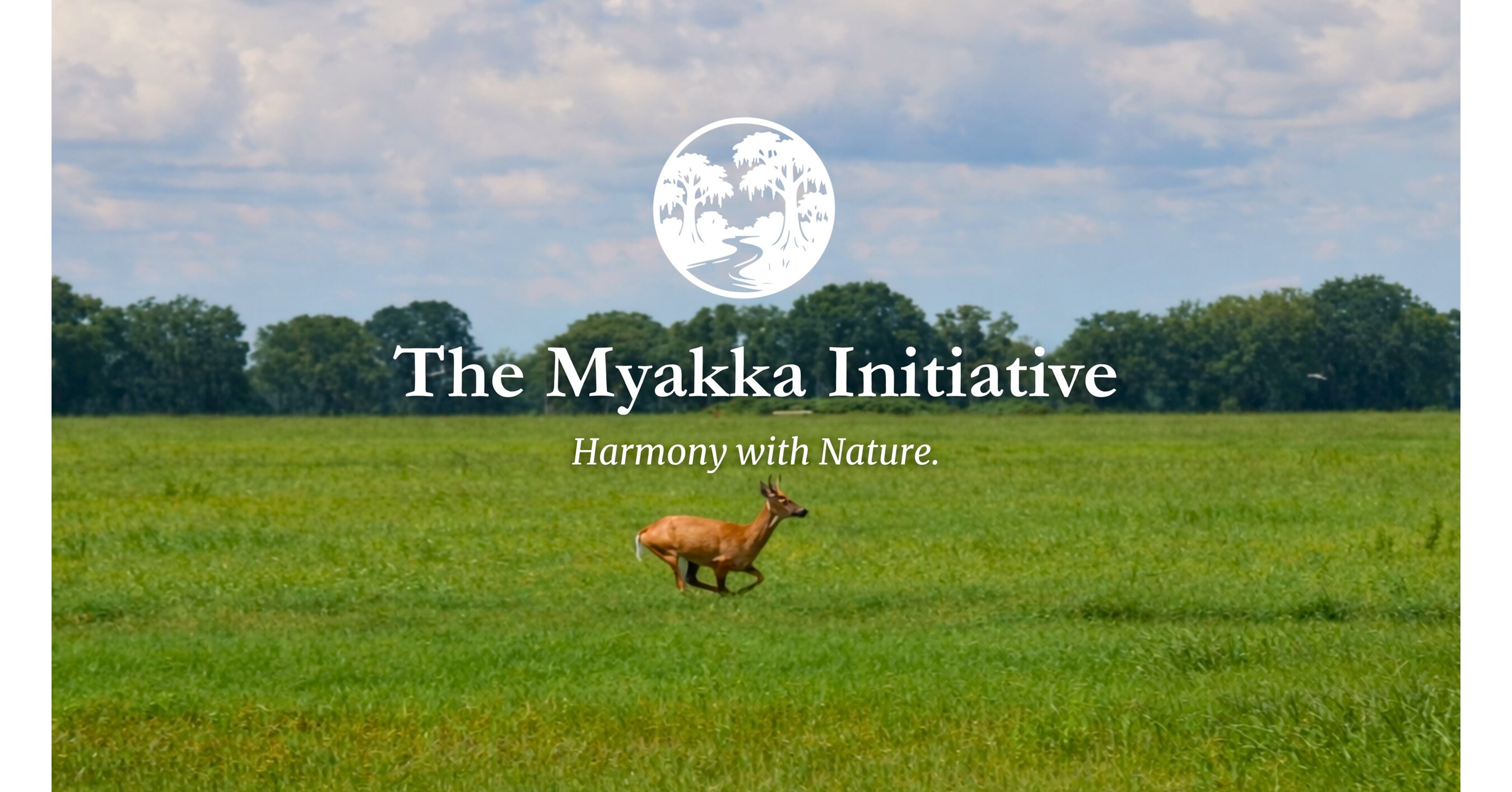 Public Information Website Launches to Provide Transparency on Land Stewardship and Conservation in the Myakka River Basin