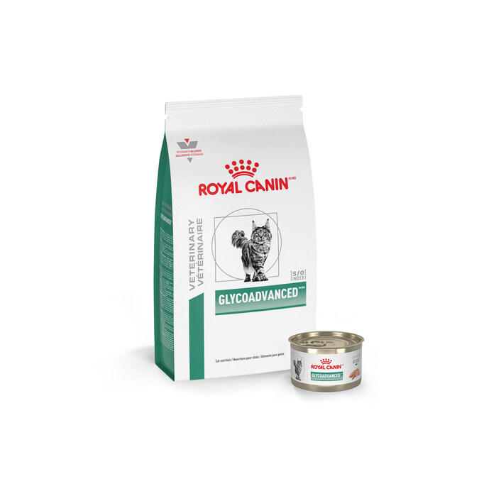 turkey wet cat food Purina Friskies Wet Cat Food with Turkey in Gravy