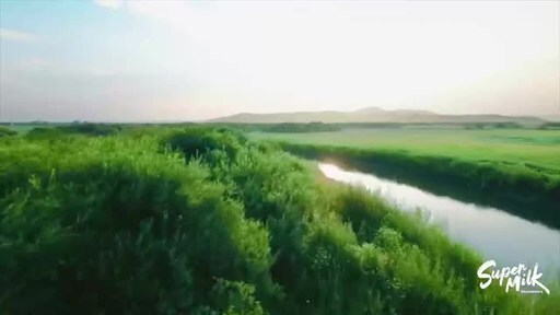 The Quality Marathon Behind a Glass of Milk: Super Milk Documentary Premieres