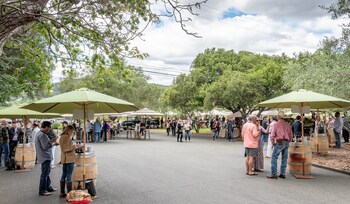 Set among the vineyards and organic gardens of Regusci Winery, this walk-around tasting brings together all participating vintners in one lively setting. Photo by Bob McClenahan