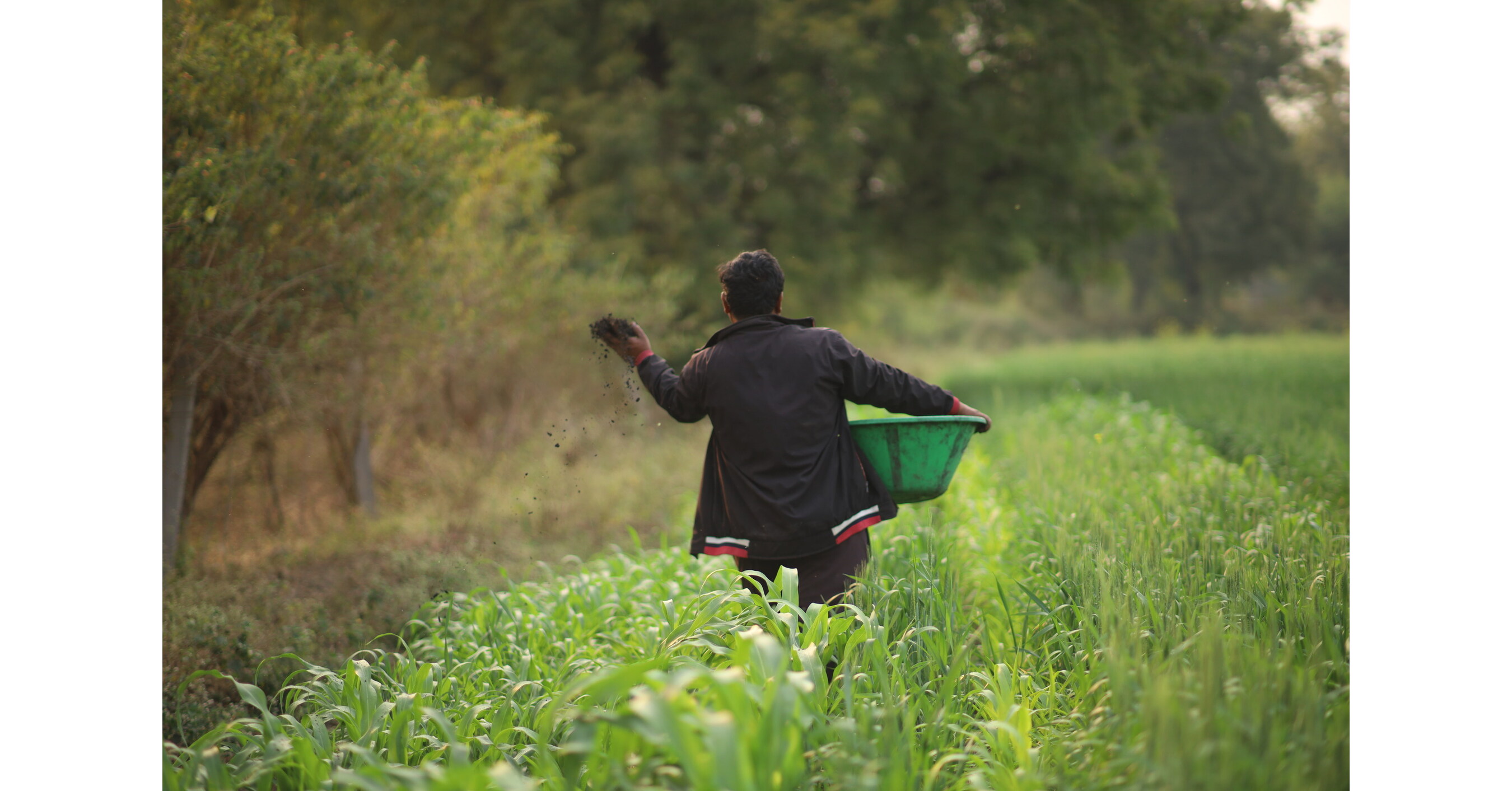 Varaha 與 Microsoft 簽署碳移除協議