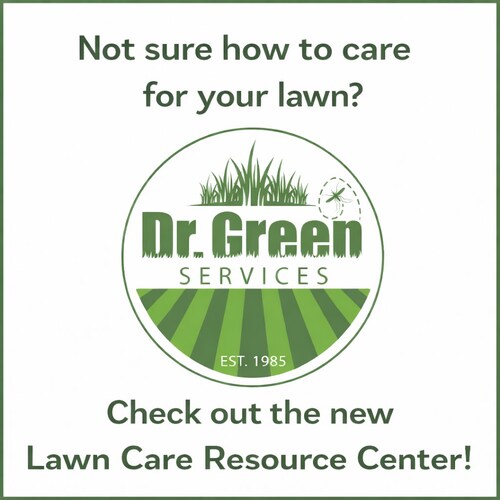 Dr. Green Services