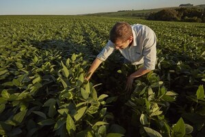 BASF Soluciones para la Agricultura adquiere la empresa AgBiTech de control biológico de plagas
