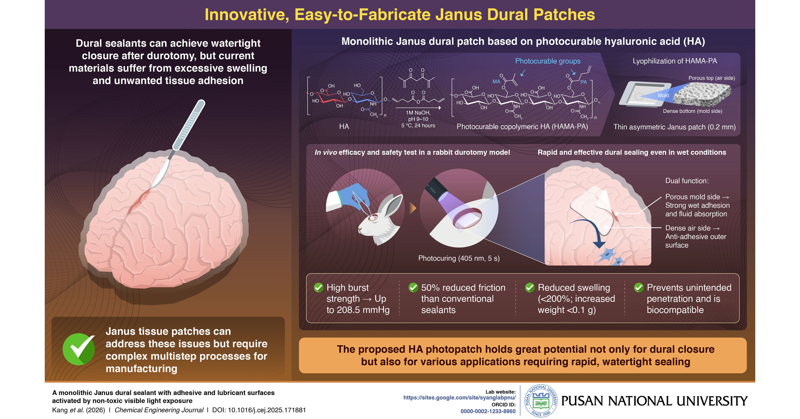 Pusan National University Researchers Develop Light-Activated Tissue ...
