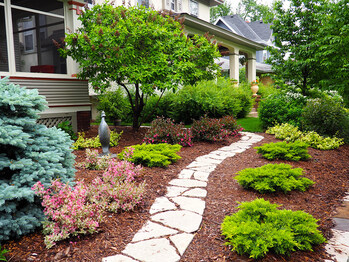 The Renegade Gardener shares expert landscaping tips!