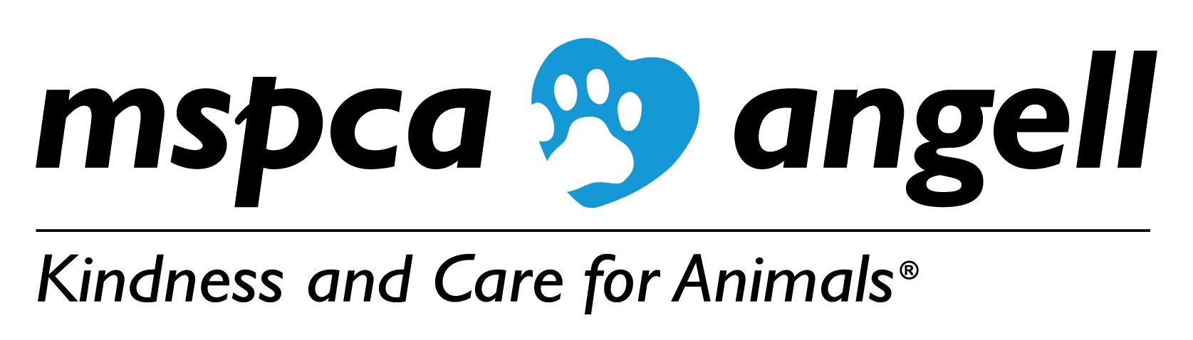 "All Access with Andy Garcia" Highlights MSPCA-Angell's Advancements in Animal Health and Healing