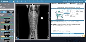 Vetology AI Becomes First and Only Veterinary Imaging AI Company to Publicly Release Comprehensive Classifier Performance Metrics