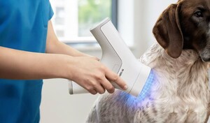 HT Vet's VISTA iQ™ Introduces New Cancer Diagnostic Service, Unlocking $130K in Annual Revenue for Veterinary Clinics