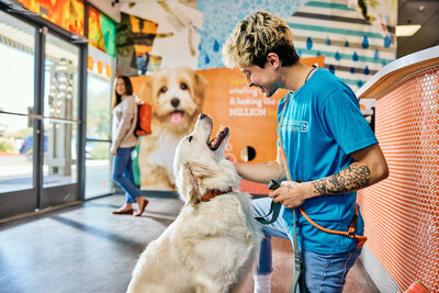 Dogtopia celebrates a record-breaking 2025.