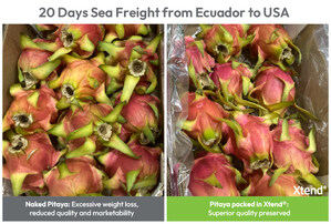 StePacPPC's Advanced Packaging Extends Global Access of Dragon Fruit