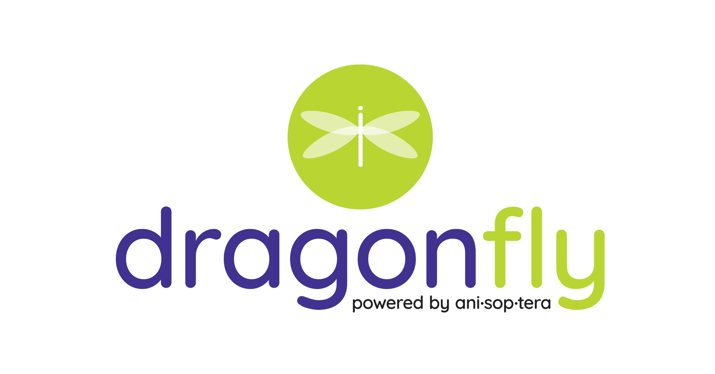 ANISOPTERA.IO LAUNCHES DRAGONFLY: NO-CODE PHYSICAL AI PLATFORM THAT TURNS  RAW VIDEO FOOTAGE INTO REAL-TIME BUSINESS & OPERATIONS INTELLIGENCE