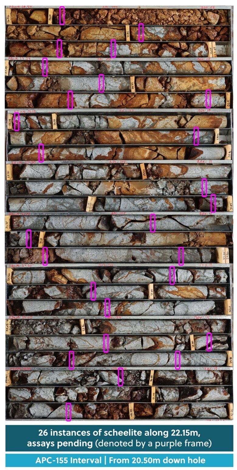 Figure 3: Drill Core from Hole APC-155. Twenty-Six Individual Visible Instances of Scheelite Over 22.15 Metres from 20.50 Metres Down Hole; Pending Assay Results (CNW Group/Collective Mining Ltd.) Figure 3: Drill Core from Hole APC-155. Twenty-Six Individual Visible Instances of Scheelite Over 22.15 Metres from 20.50 Metres Down Hole; Pending Assay Results (CNW Group/Collective Mining Ltd.)