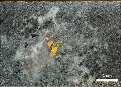 Figure 2 – 459.85m to 460.15m assaying 166.14g/t Au from hole 25OPDD007 (CNW Group/Targa Exploration Corp.)