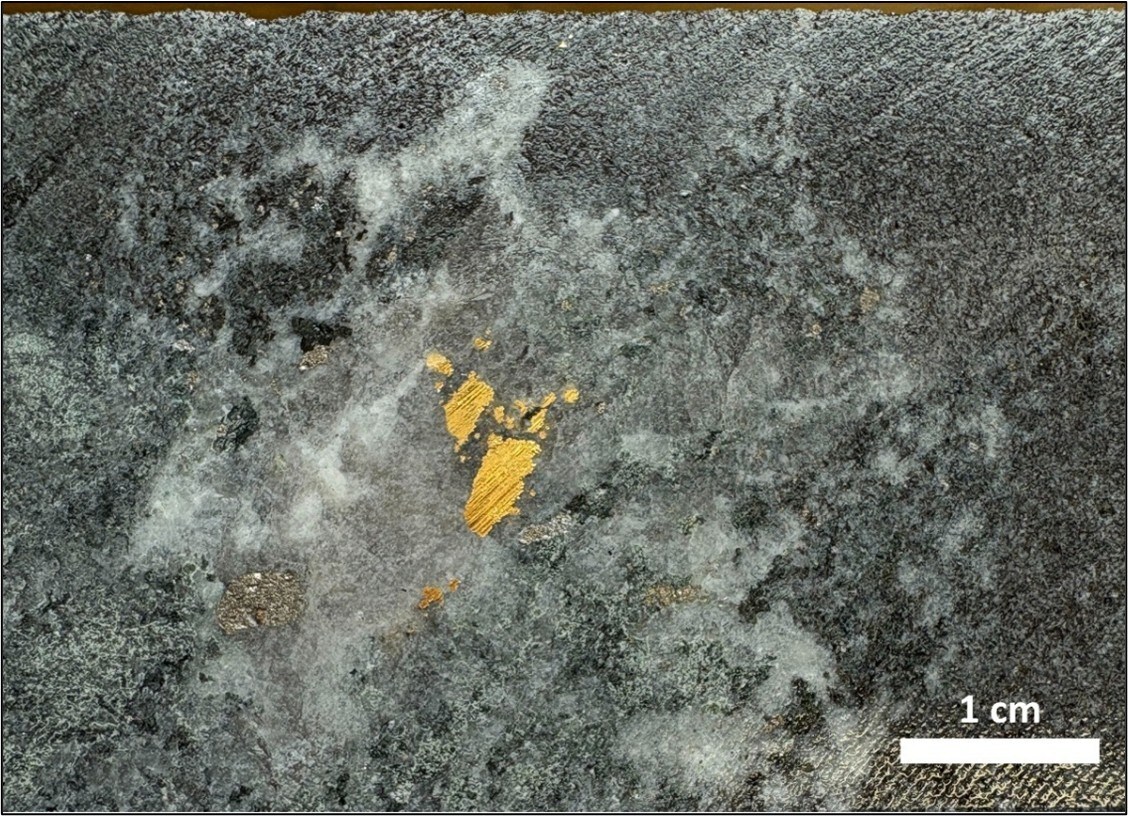 Figure 2 – 459.85m to 460.15m assaying 166.14g/t Au from hole 25OPDD007 (CNW Group/Targa Exploration Corp.) Figure 2 – 459.85m to 460.15m assaying 166.14g/t Au from hole 25OPDD007 (CNW Group/Targa Exploration Corp.)