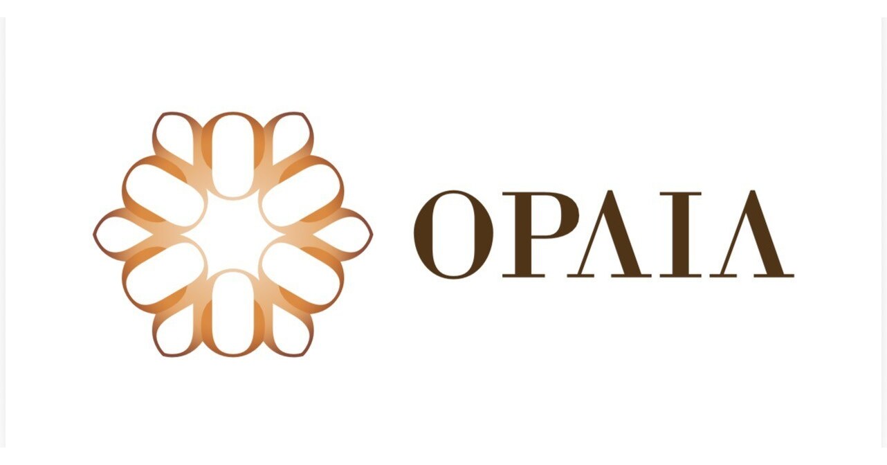 Opaia Launches Angolas Only Car Assembly Plant