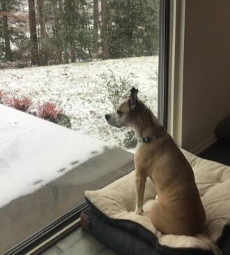 “Even though you can’t get out and dig and plant in the wintertime, it’s the perfect season for dreaming and scheming your spring yard refresh,” says Kris Kiser, President &amp; CEO of the TurfMutt Foundation. “Whether you're planning a simple landscape update or a complete outdoor living overhaul, starting now puts you ahead of the spring rush.”