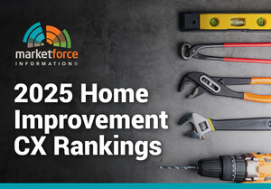 Ace Hardware and Menards Deliver the Best DIYers' Customer Experience in 2025 Market Force Study