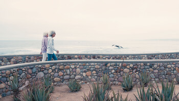 Vista 360 Well-Being; Vi Living