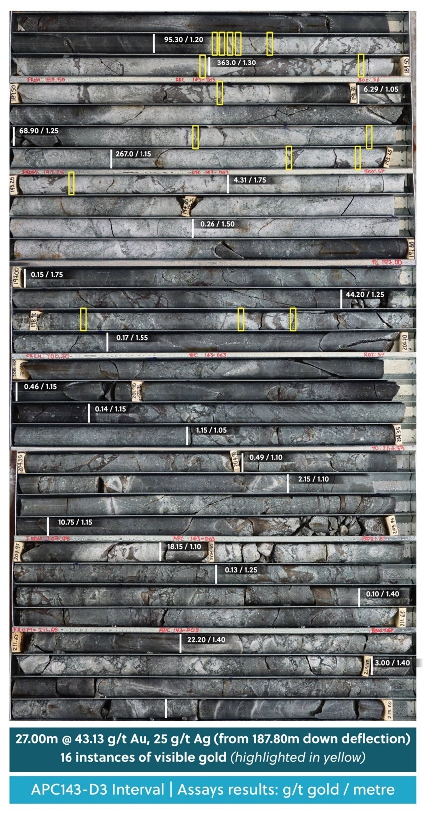 Figure 3: Drill Core Tray Photo Highlighting a High-Grade Section of Drill Hole APC143-D3 with Visible Gold Flakes Observed Highlighted in Yellow (CNW Group/Collective Mining Ltd.) Figure 3: Drill Core Tray Photo Highlighting a High-Grade Section of Drill Hole APC143-D3 with Visible Gold Flakes Observed Highlighted in Yellow (CNW Group/Collective Mining Ltd.)